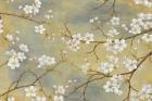 White Blossom I