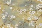 White Blossom I