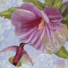 Humming Hibiscus I