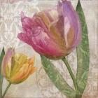 Tulip Tempest I