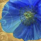 Poppy Blues I