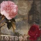 Rose of London II