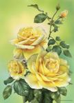 Roses Yellow