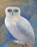 Snowy Owl 1