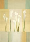 Calla Lily Dance I