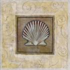 Sea Shell I