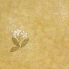 White Flower on Gold