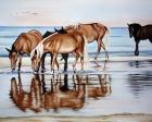 Horses On Beach