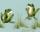 April Showers - Frogs With Grass