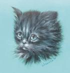 Black Kitten - 23A