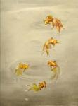 Glittering Goldfish