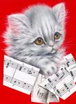 Music Cat - 12A