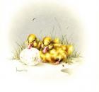 Ducks And Egg