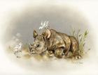 Rhino Baby