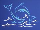 Dolphins