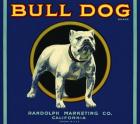 Bull Dog Brand