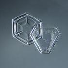 Hexagonal and Triangular Plate Snowflakes 005.2.9.2014