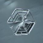 Hexagonal Plate Snowflake 002.2.14.2014