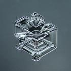 Hexagonal Plate Snowflake 003.2.9.2014.1