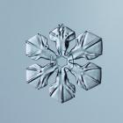 Sectored Plate Snowflake 001.3.02.2014