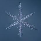 Simple Star Snowflake 002.2.16