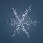 Stellar Dendrite Snowflake 005.2.16.2014