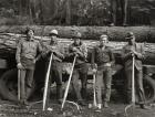 American Loggers, 1939