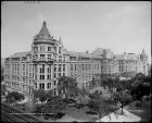 American Museum of Natural History, New York, N.Y.