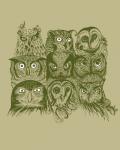Nine Owls
