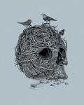 Skull Nest