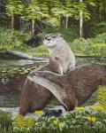 Two Otters