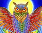 Rainbow Owl