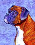 Brindle Boxer Dog