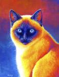 Colorful Siamese Cat