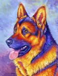 German Shepherd