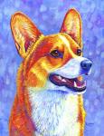 Pembroke Welsh Corgi