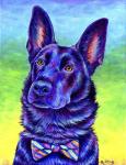 Colorful Black German Shepherd