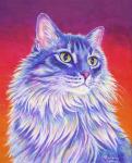 Longhaired Purple Tabby Cat