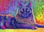 Psychedelic Rainbow Black Cat