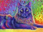Psychedelic Rainbow Black Cat