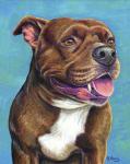 Staffordshire Bull Terrier