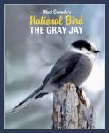 Gray Jay Canada's National Bird