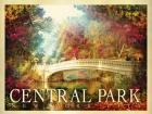 Central Park 2