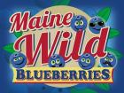 Maine Wild Blueberries