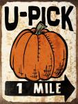 U-Pick Pumpkin