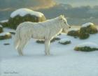 White Wolf