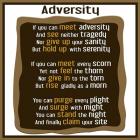 Adversity