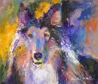 Collie