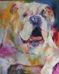 Bulldog