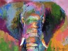 Elephant 2